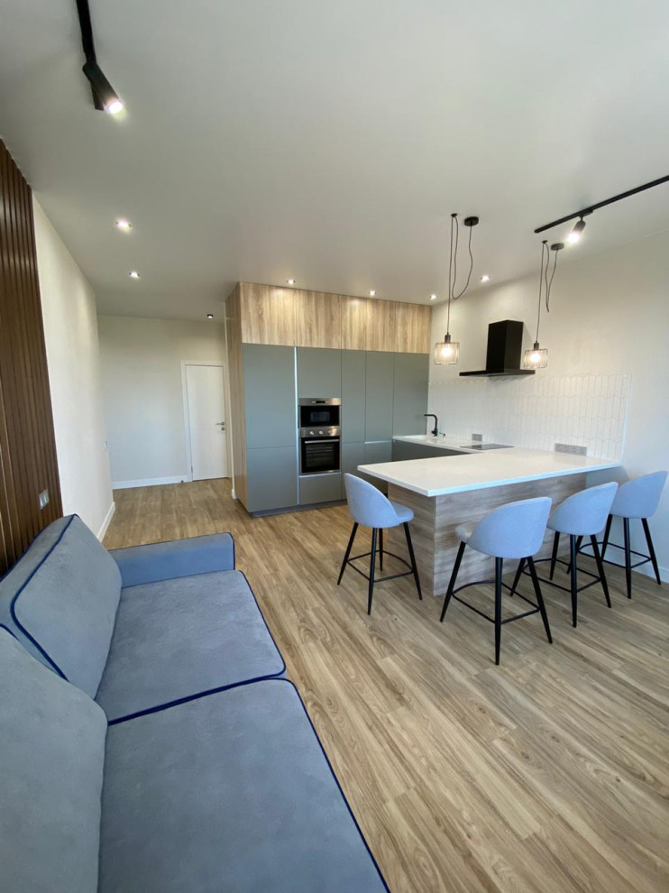 Эскизный проект в ЖК Просвещение