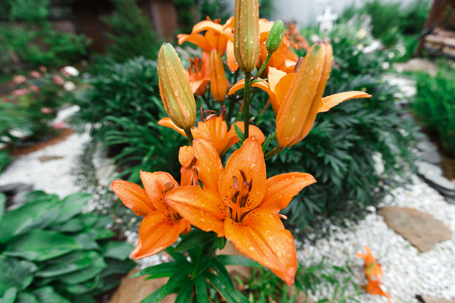 Экстерьер загородного дома