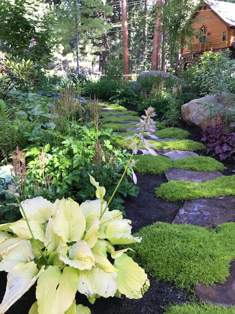 Lake Tahoe Landscape Designs