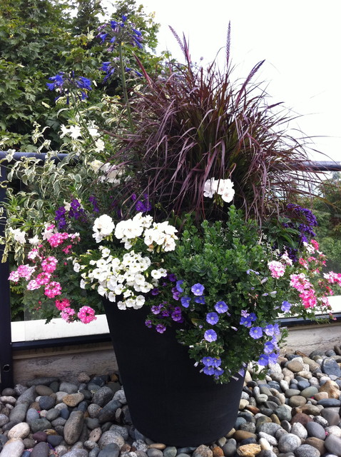 Rooftop Containers klassisch-garten