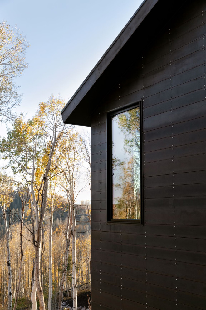 Idee per la facciata di una casa piccola nera contemporanea a piani sfalsati con rivestimento in cemento, copertura in metallo o lamiera, tetto nero e pannelli sovrapposti