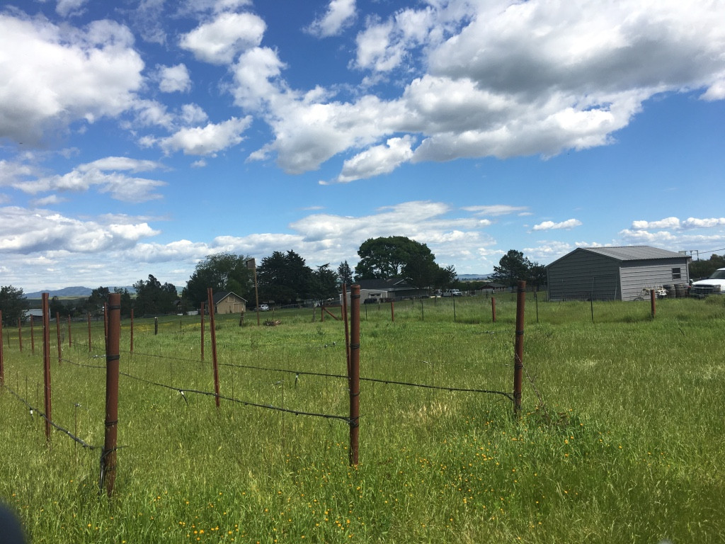 Before: Untouched Meadow Landscape