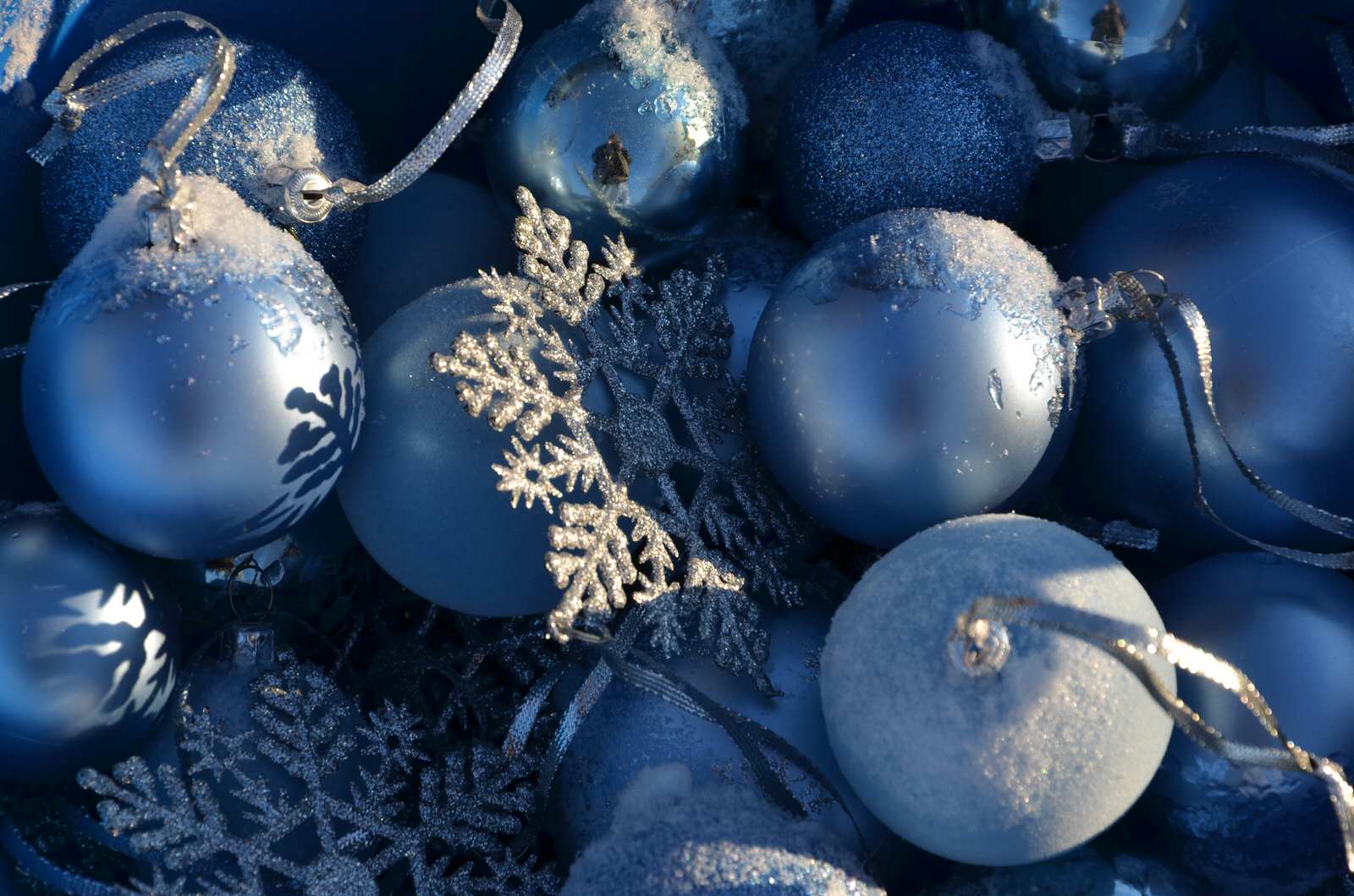 Садовый участок - новый год