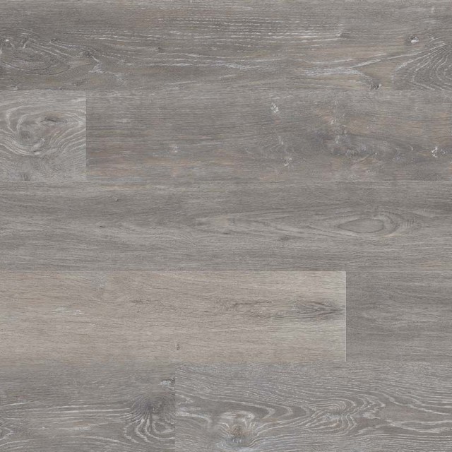 Wilmont Elmwood Ash Glossy Wood LVT, Sample - Traditional - Vinyl ...