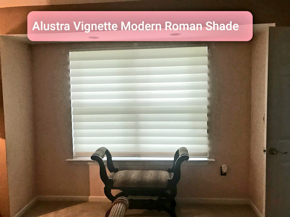 Alustra Vignette Modern Roman Shade