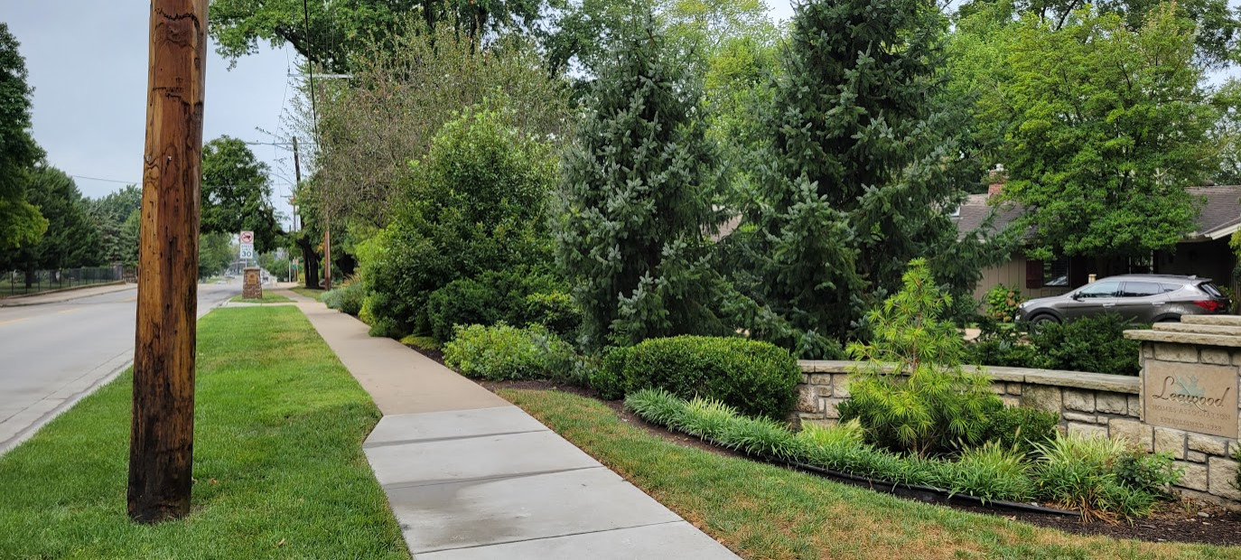 Burwell Street Buffer