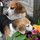 Last commented by cat_mccall9149