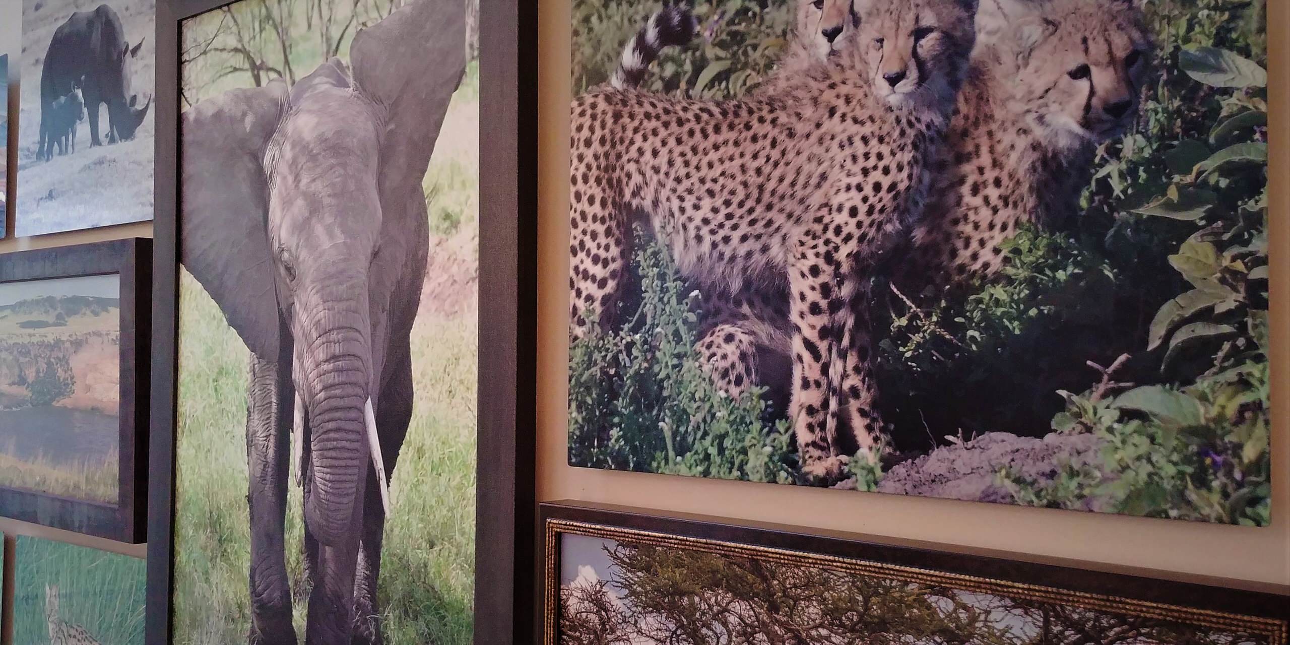 Plains of Serengeti