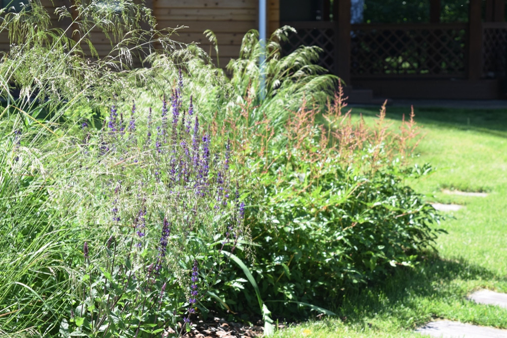 "Лесная сказка"