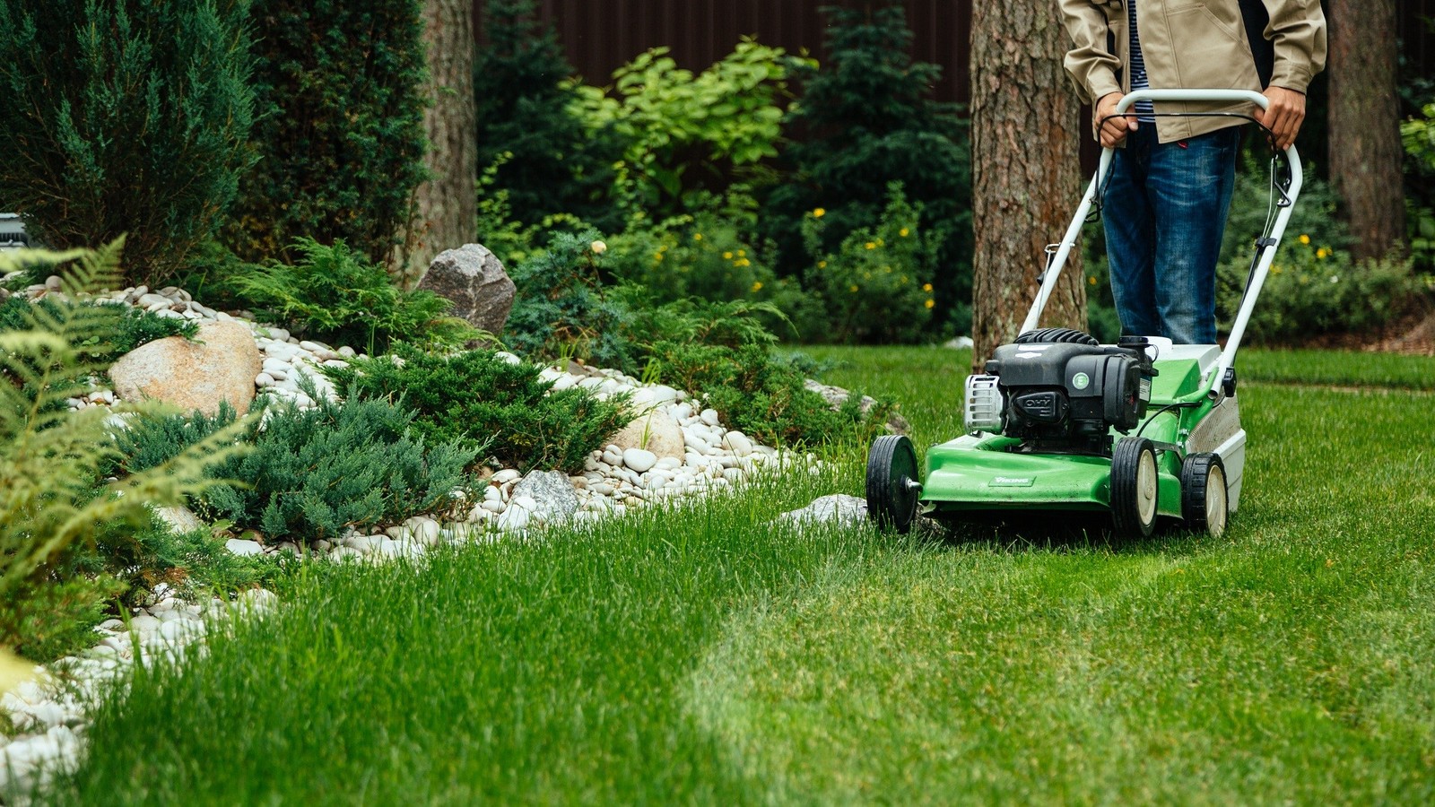 Участок в Сестрорецке