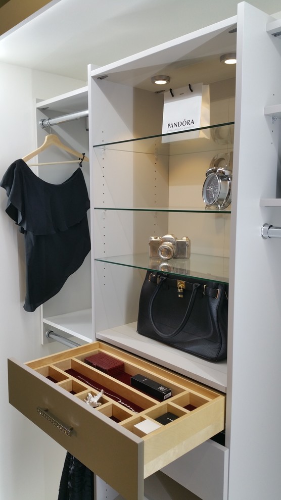 This is an example of a contemporary storage and wardrobe in Vancouver.