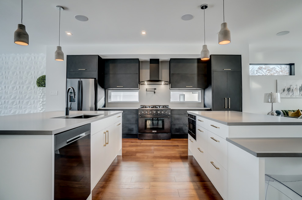 Example of a minimalist kitchen design in Ottawa
