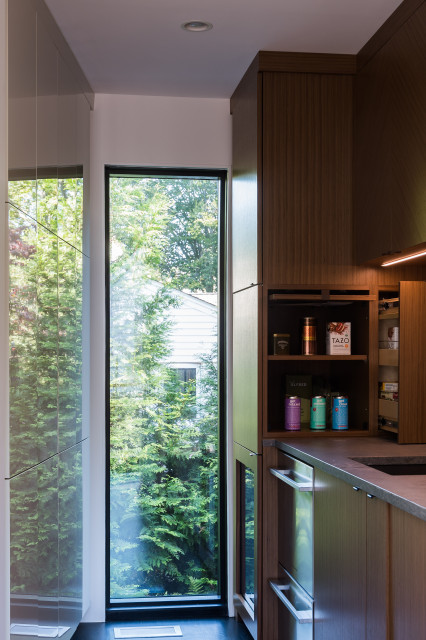 McLean- Transforming a Traditional House into a Modern Home - Modern - DC Metro - by Bowers 