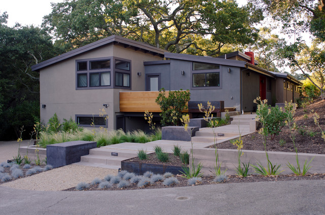 Lafayette 2 modern-garden