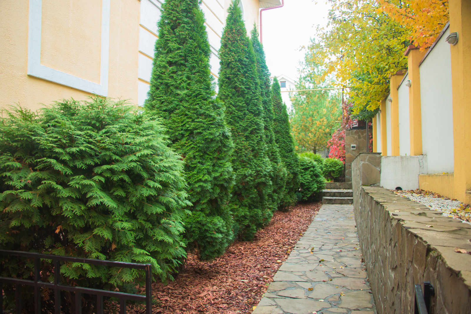 Чебоксары 1