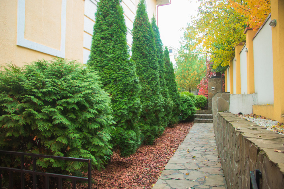 Чебоксары 1