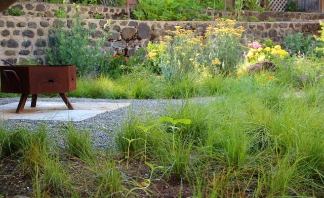 Design ideas for a mediterranean garden in San Luis Obispo.