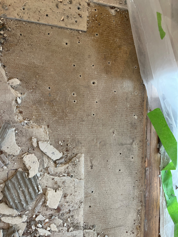 National Park, New Floors