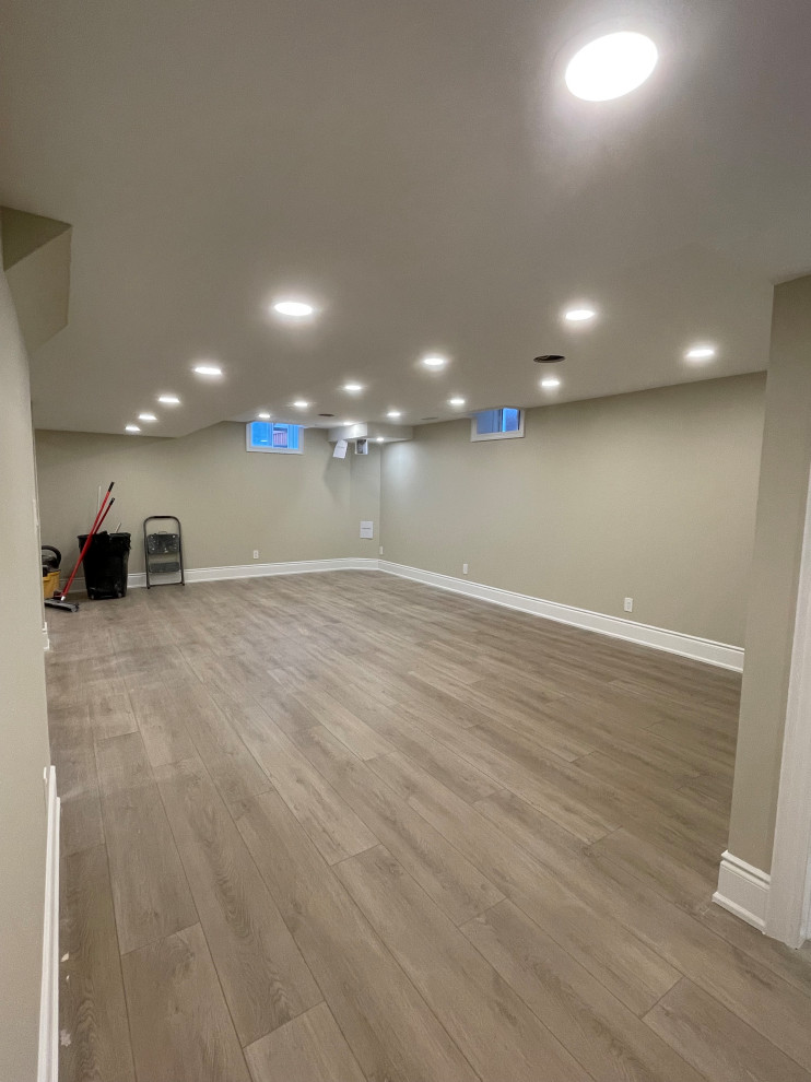 Meadowlands Basement