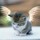 isabelle_merlet