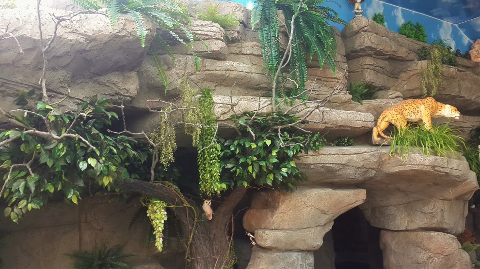 Искусственные скалы.