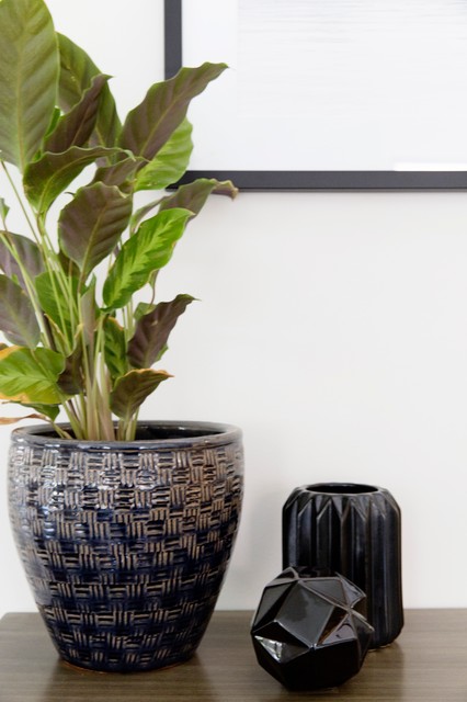 Entryway contemporary-entre