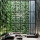 webuser_548215140