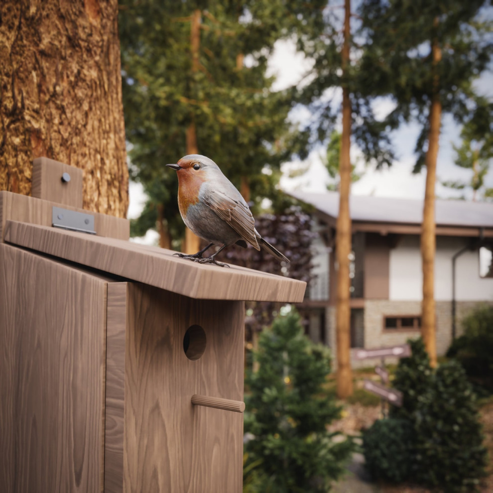 Лесные просторы