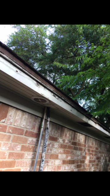 Fascia & Soffit Repairs