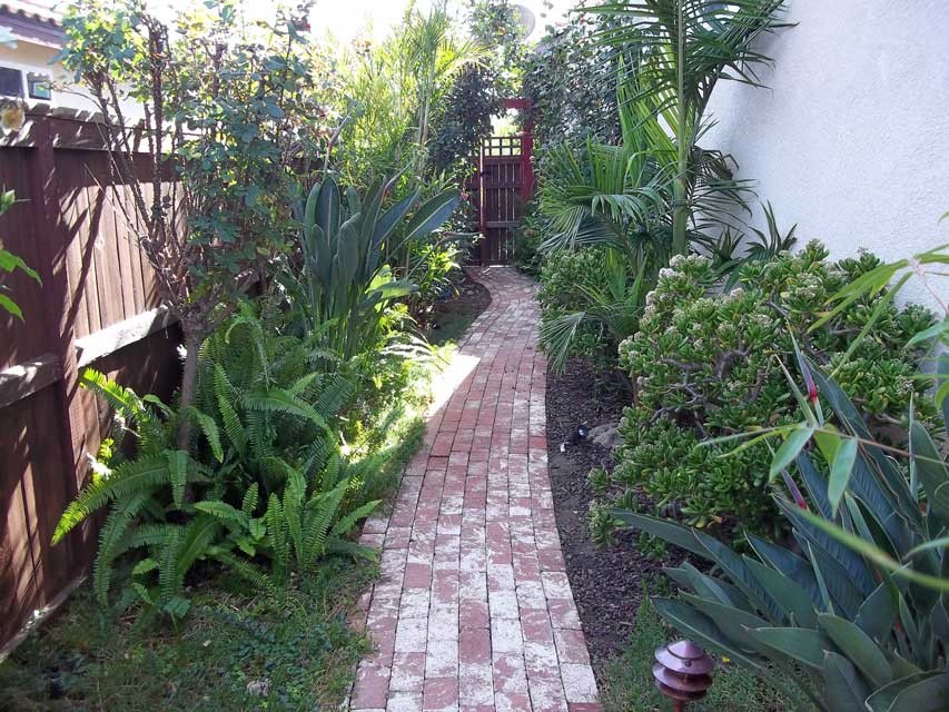 Photo of a small traditional side yard partial sun garden for summer in San Diego with brick pavers.