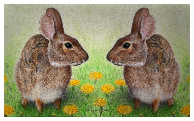 Betsy Drake Rabbits Door Mat 30x50, One Size - Farmhouse - Doormats ...