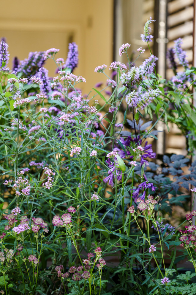 ロンドンにあるお手頃価格の小さな、夏の北欧スタイルのおしゃれな屋上庭園 (ゼリスケープ、コンテナガーデン、日向、デッキ材舗装、ウッドフェンス) の写真