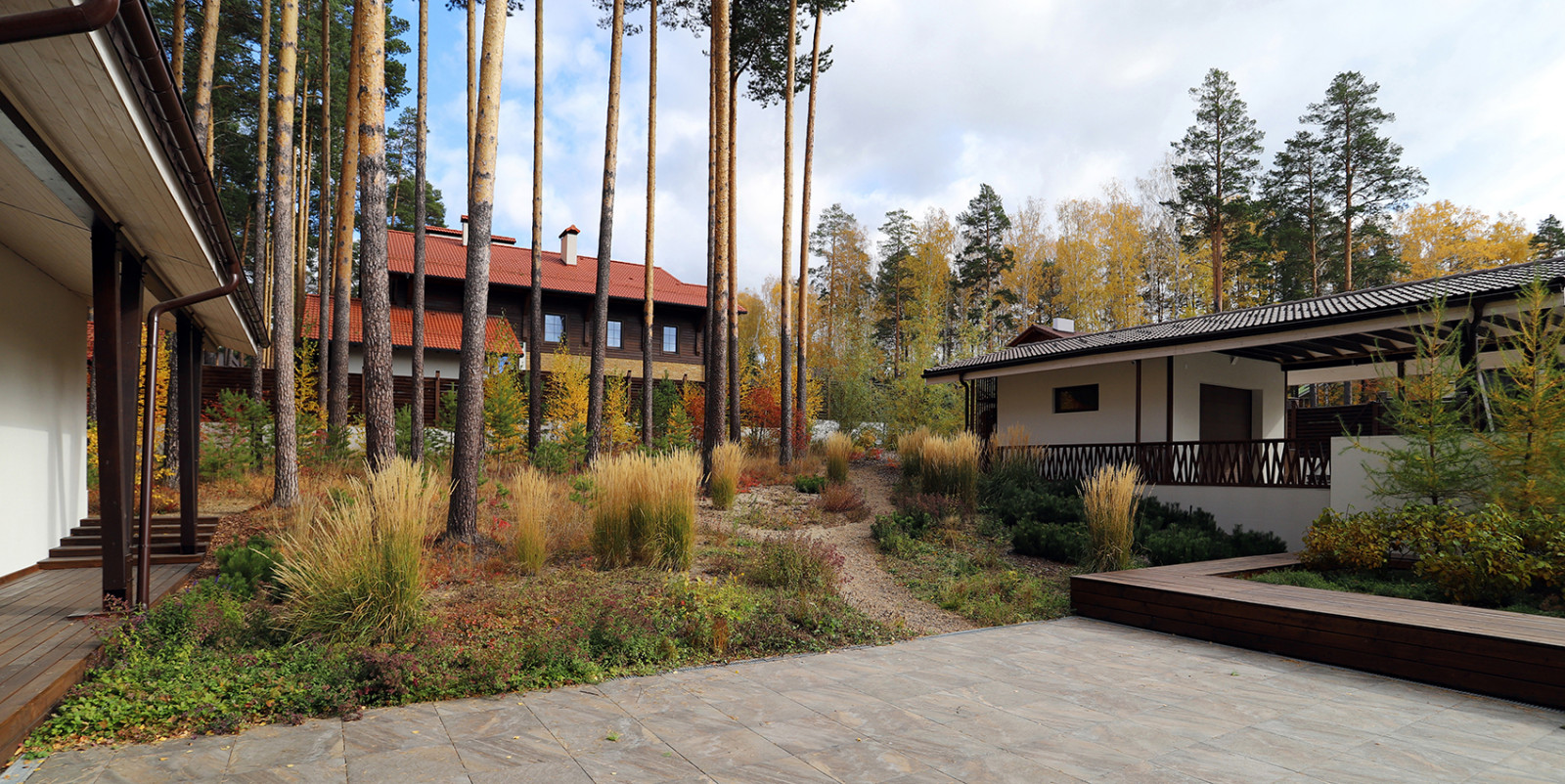 Лес и огород