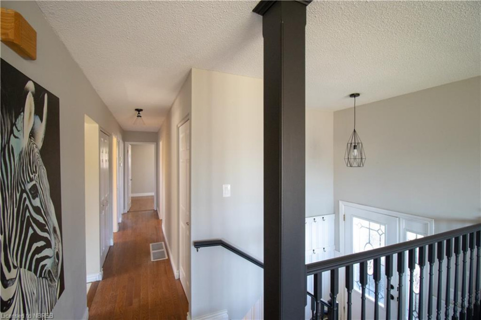 Inspiration for a mid-sized contemporary hallway in Other with grey walls, painted wood floors and black floor.