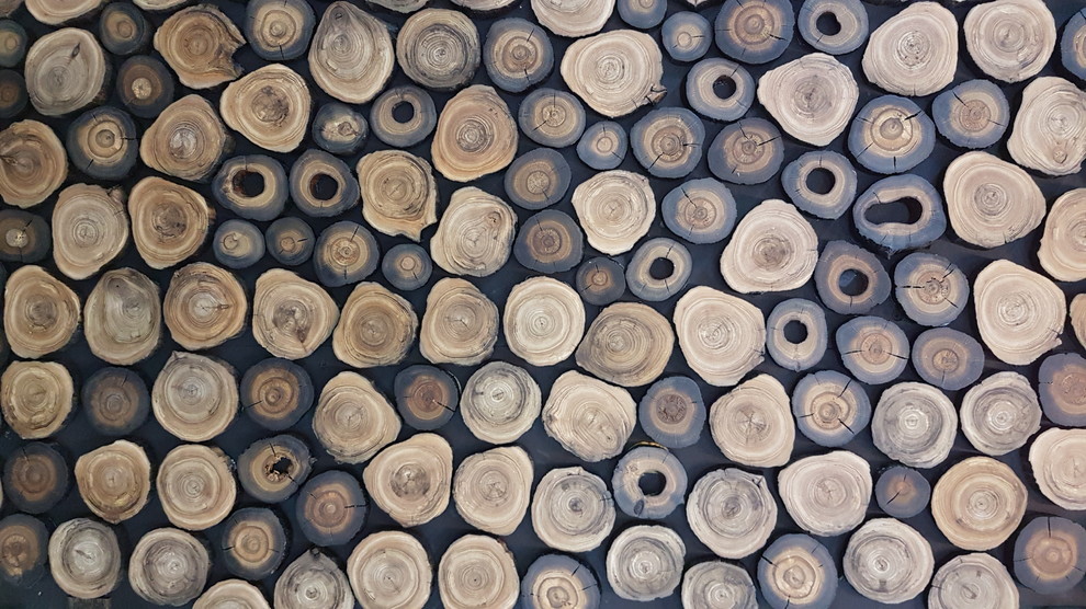 Срез дерева, массив мореного дуба