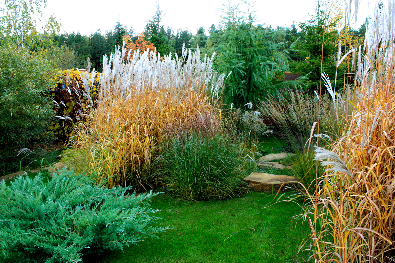 Ландшафтный дизайн участка фото