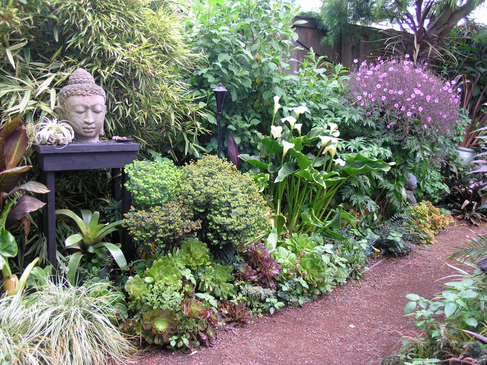 This is an example of an eclectic garden in San Francisco.