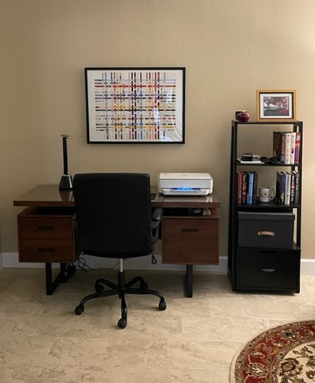 Meridian Condo from okay to UPSCALE