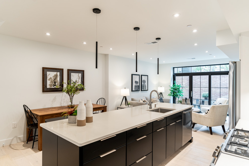 Southwest DC Duplex Renovation