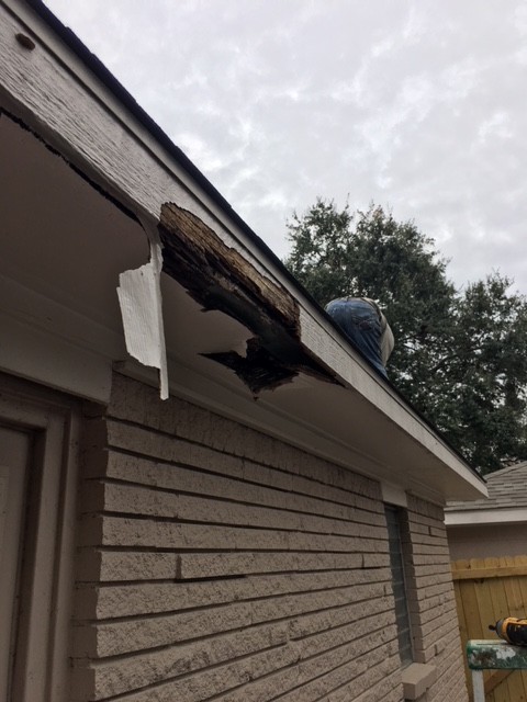 Soffits & Roof Repairs