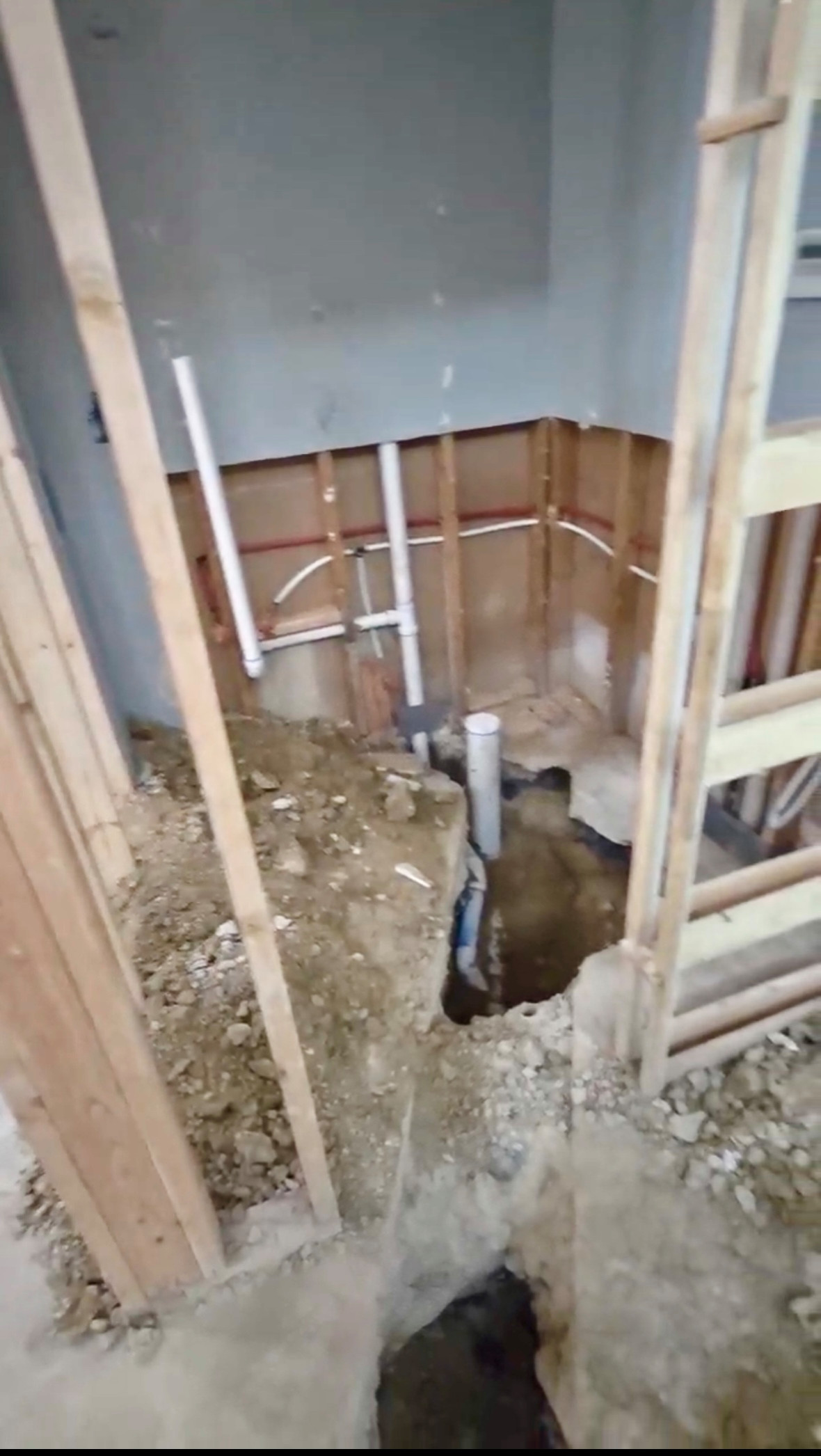 Lake Highlands Kitchen, Flooring, Powder Bath and Hall Bath Remodel