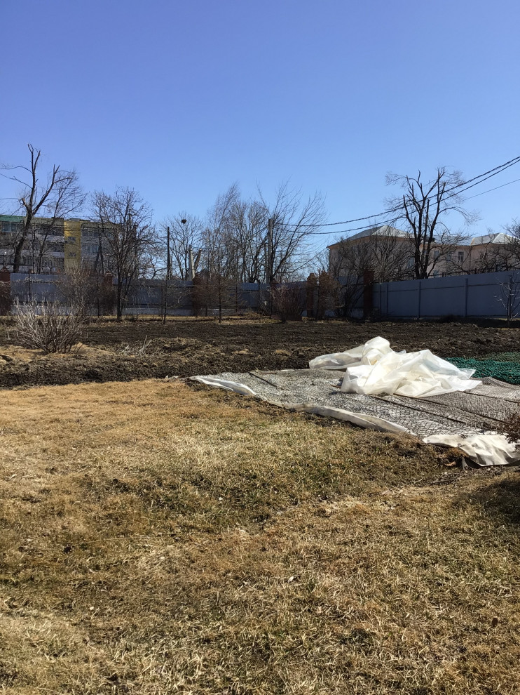 Проект благоустройства и озеленения