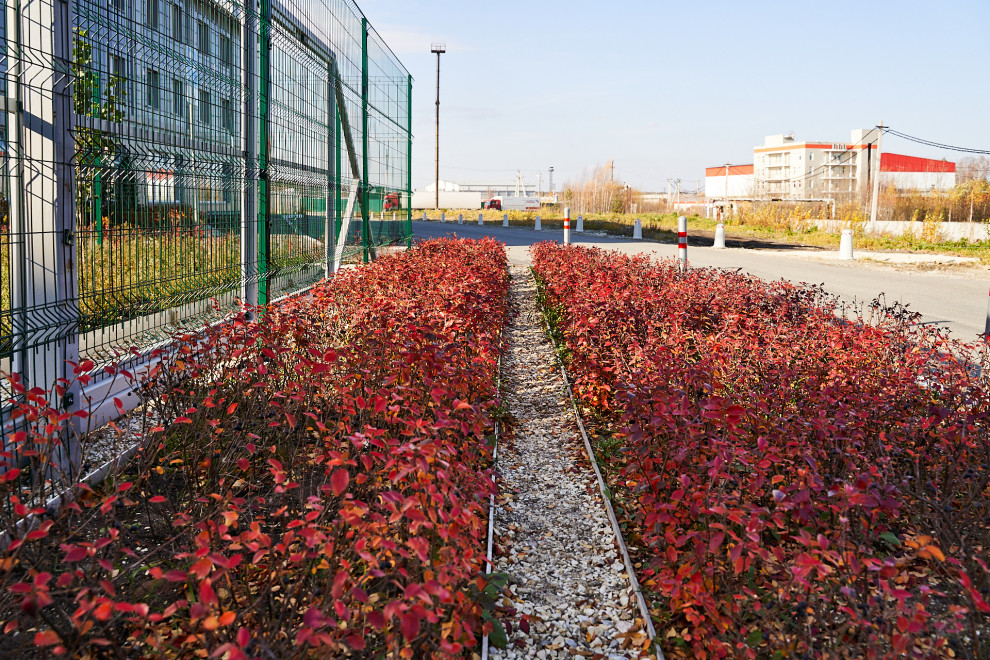 Озеленение промышленной территории
