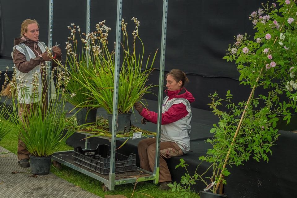 Русский сад - Челси 2016