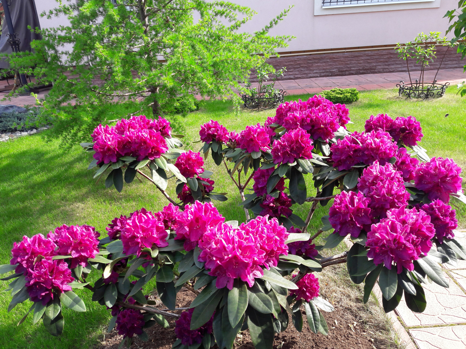 Французский садик в поселке Рыбаки Дмитровское шоссе