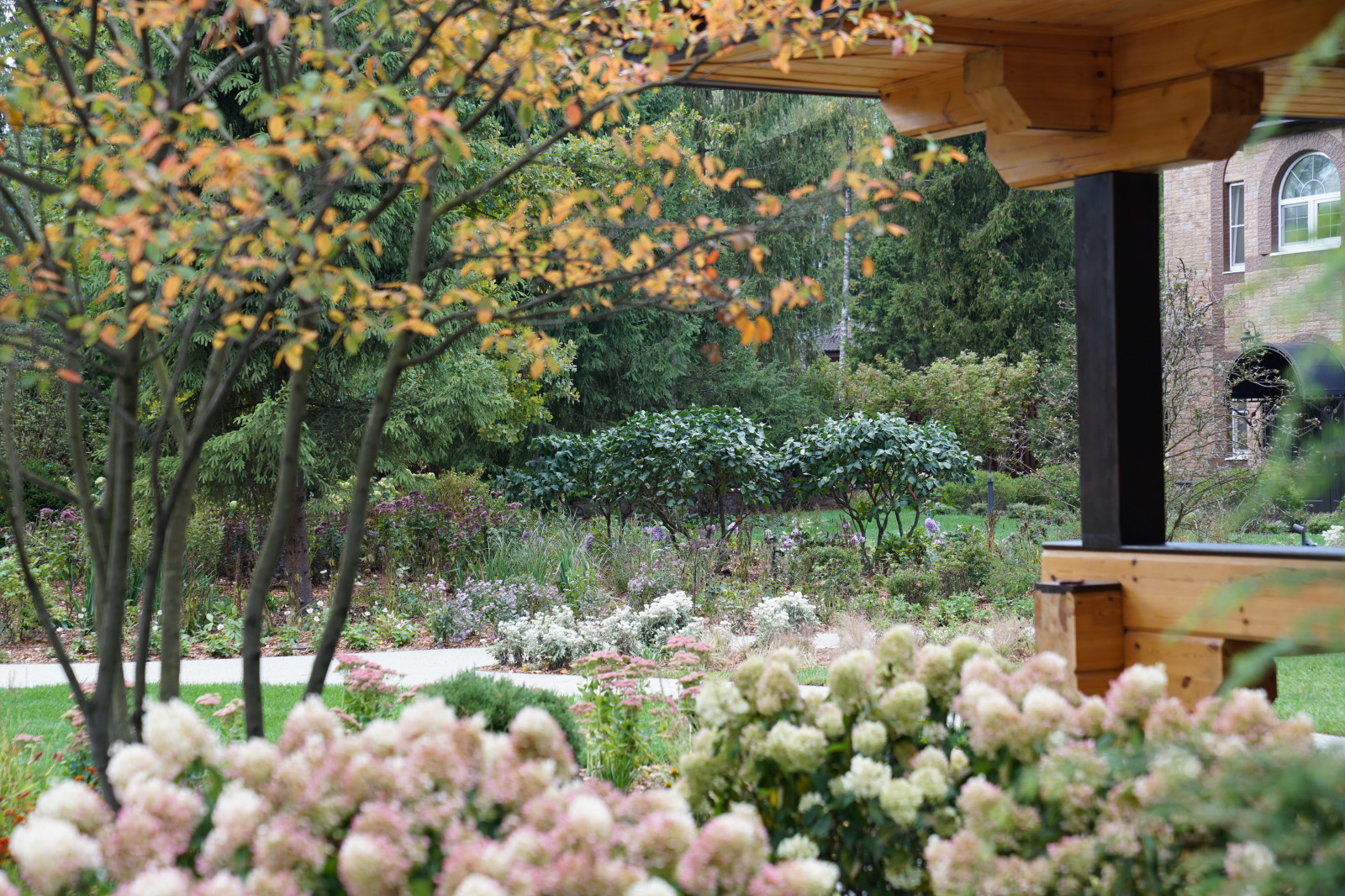 Круговорот  цвета. Дубровка 2021