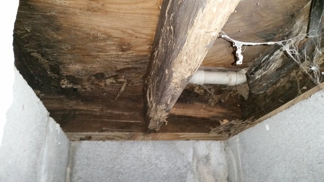Structural Repairs transitional