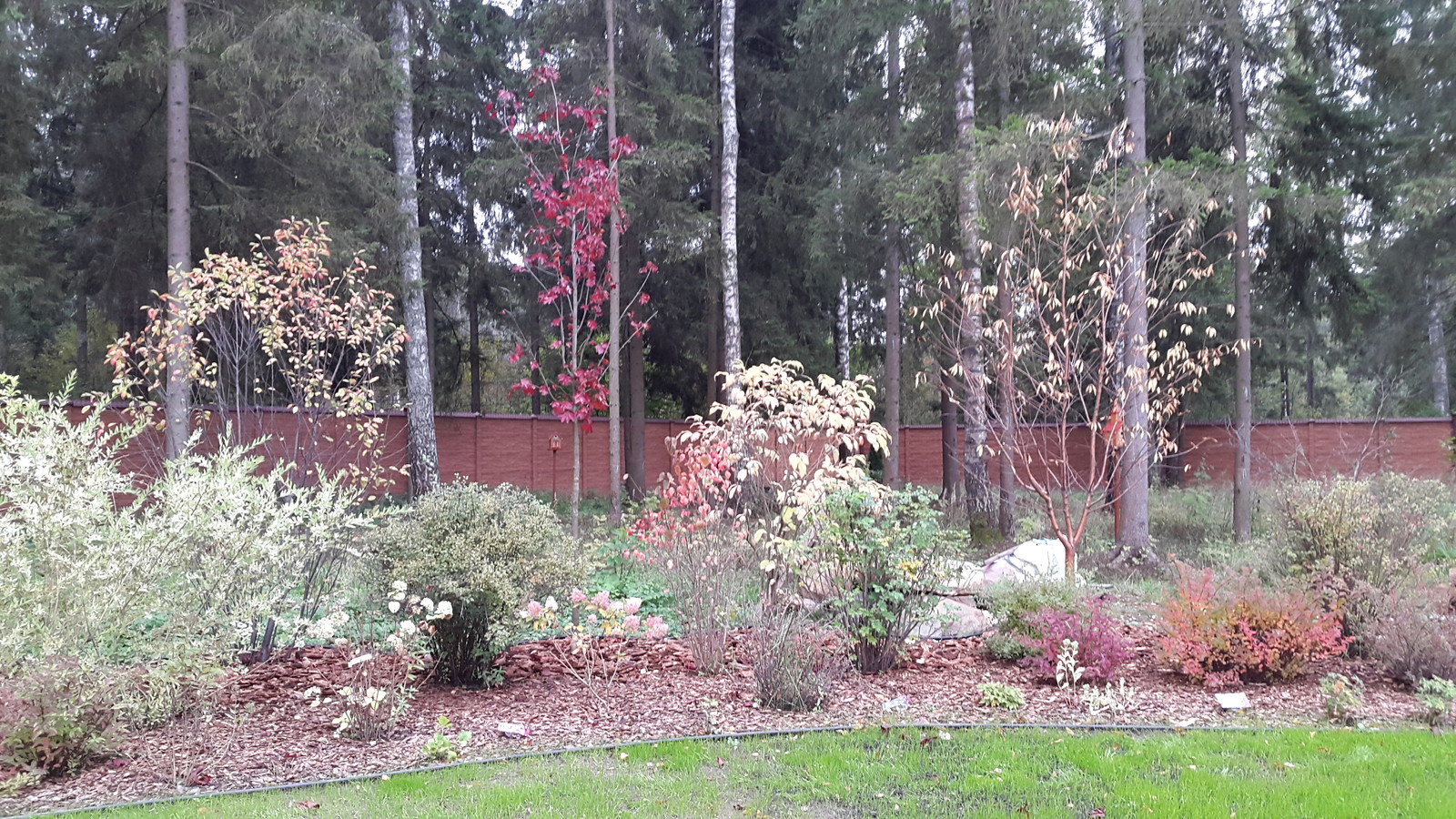 КП Лесная бухта, д. Лечищево, Новорижское ш., МО