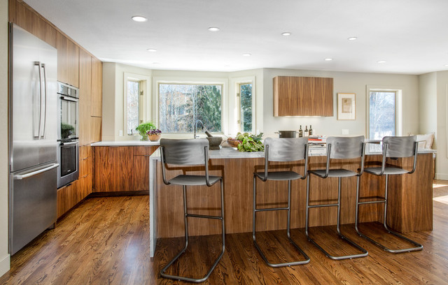 Silver Springs contemporaneo-cocina