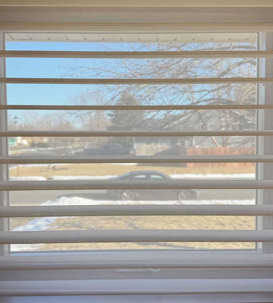 View through the Sheer Shade